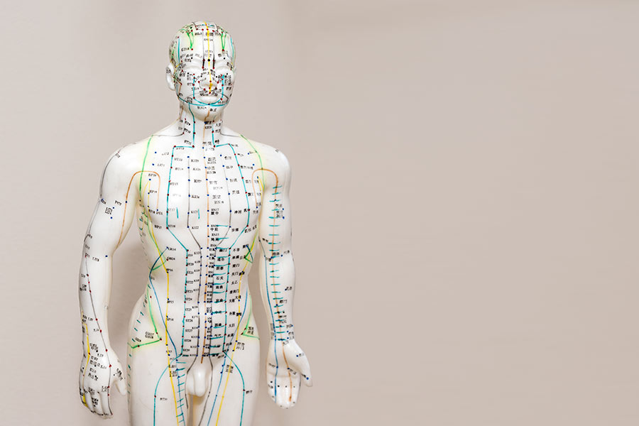 Meridian-outlined manikin, illustrating acupuncture points and chi energy pathways