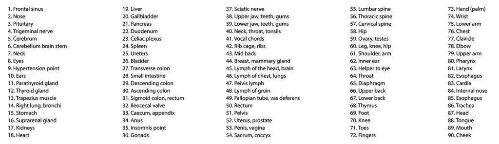 Reflexology Pressure Points - A detailed reflexology chart illustrating pressure points and corresponding body areas for holistic well-being.