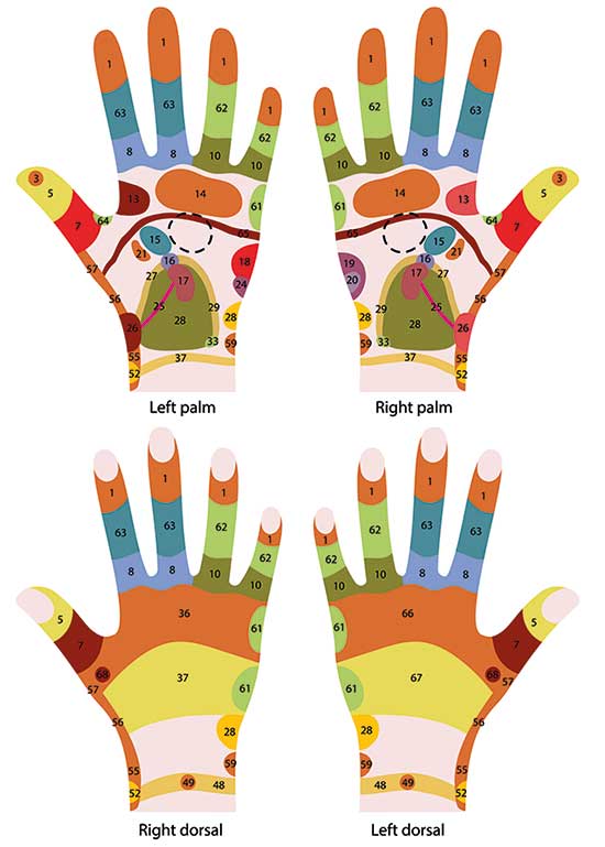 Discover Reflexology - A detailed reflexology hand chart illustrating pressure points and corresponding body areas for holistic well-being.