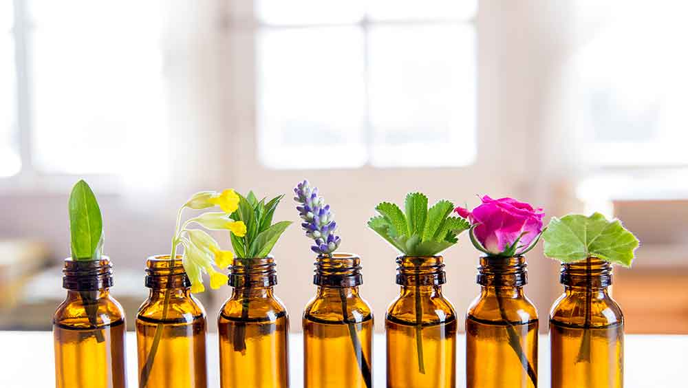 Seven bottles of essential oils are arranged in a row, each corresponding to one of the seven chakras. Cuttings of plants and flowers are placed next to each bottle, symbolising the alignment of the chakras with natural elements.
