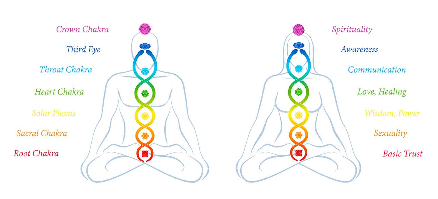 An illustration depicting a man and a woman seated side by side, with a series of seven vibrant, circular energy centres running along their spines. These energy centres, known as chakras