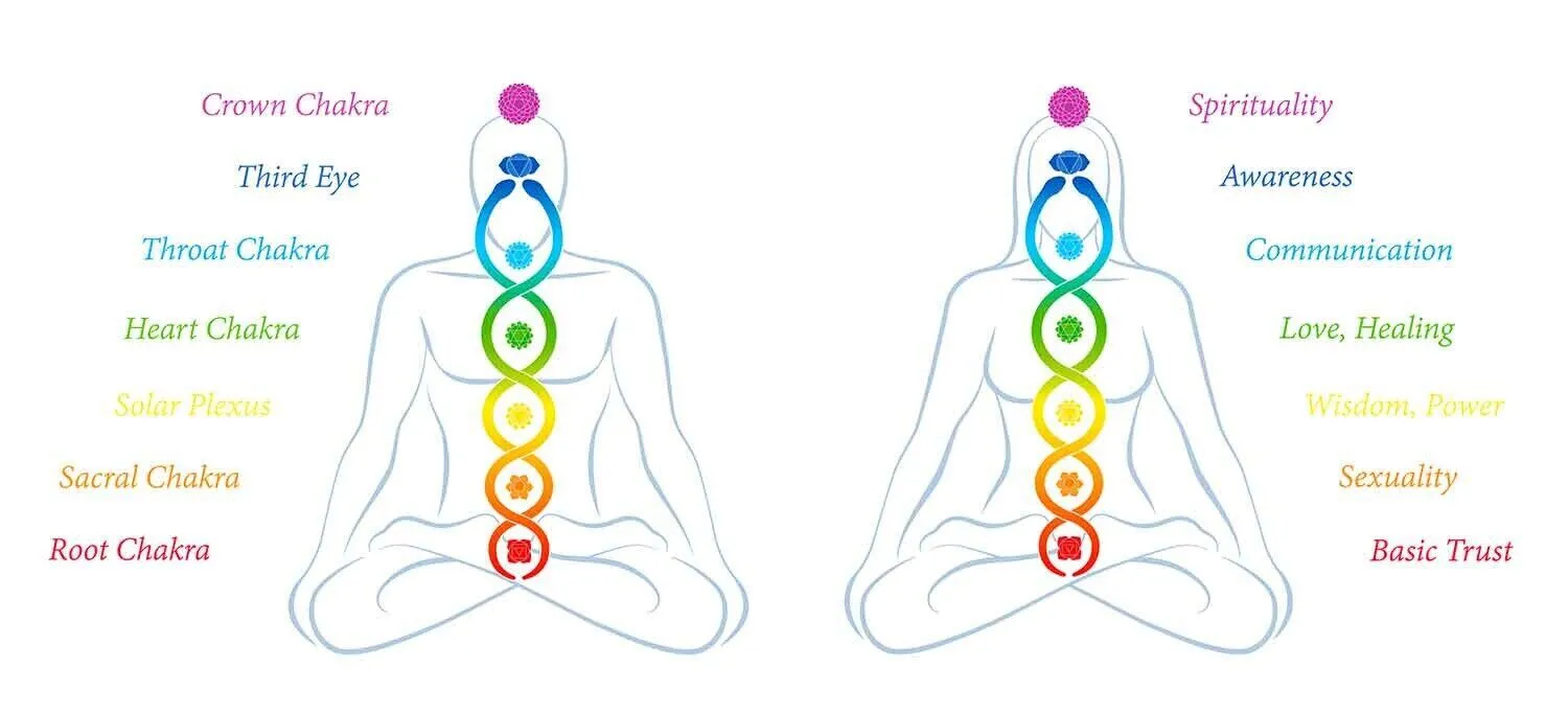 An illustration depicting a man and a woman seated side by side, with a series of seven vibrant, circular energy centres running along their spines. These energy centres, known as chakras