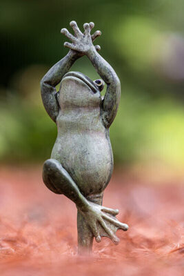 Zen-Frog