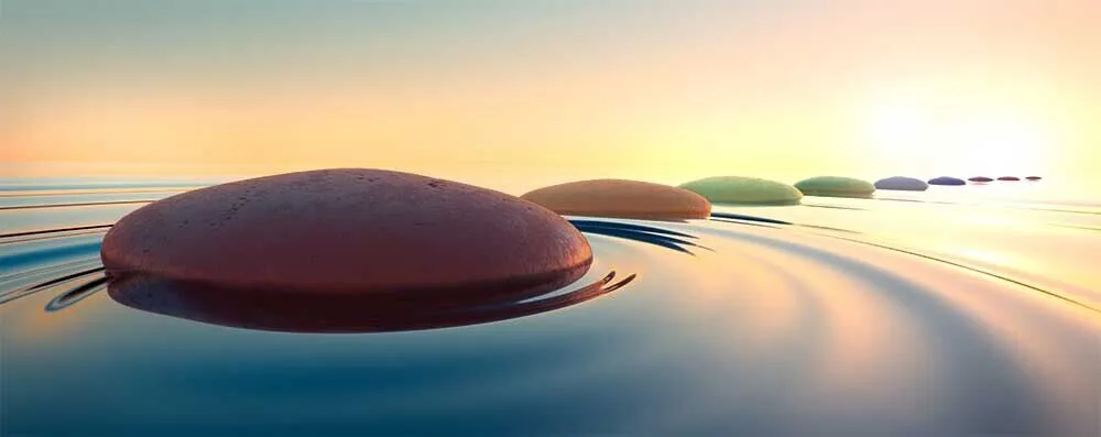 Start Your Zen Journey Now!